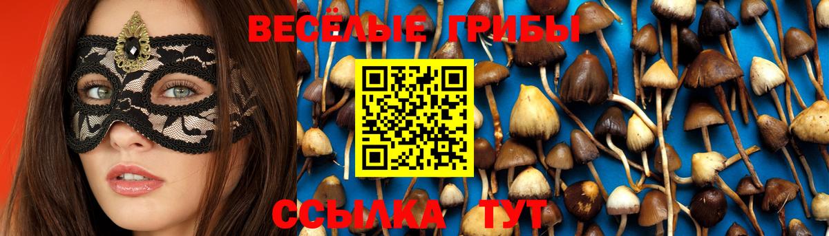 Галлюциногенные грибы Cubensis  Галлюциногенные грибы GOLDEN TEACHER  Вход с VPN  Еманжелинск 